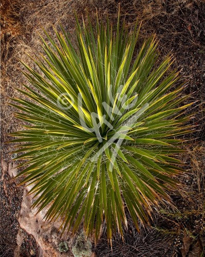 COLORADO Grand Junction